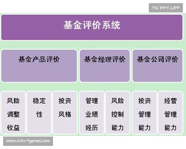 体育数字资产开发效益评估体系完善。